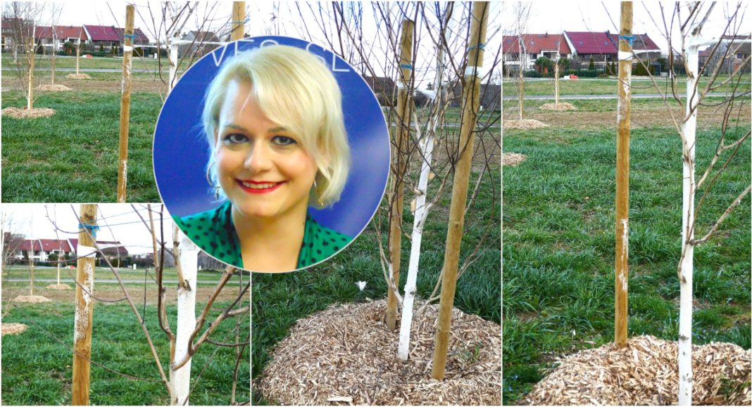 Tko je u novom parku u Martanama dozvolio sadnju breza, koje su opasni alergeni i štete zdravlju građana!? Tko je u novom parku u Martanama dozvolio sadnju breza, koje su opasni alergeni i štete zdravlju građana!?