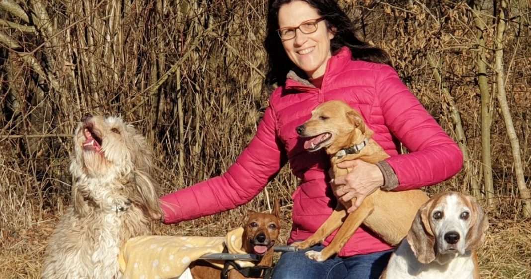 Aleksandra Hampamer: Zaustavimo patnju napuštenih životinja: Vrijeme je za odgovornost i promjene Aleksandra Hampamer: Zaustavimo patnju napuštenih životinja: Vrijeme je za odgovornost i promjene