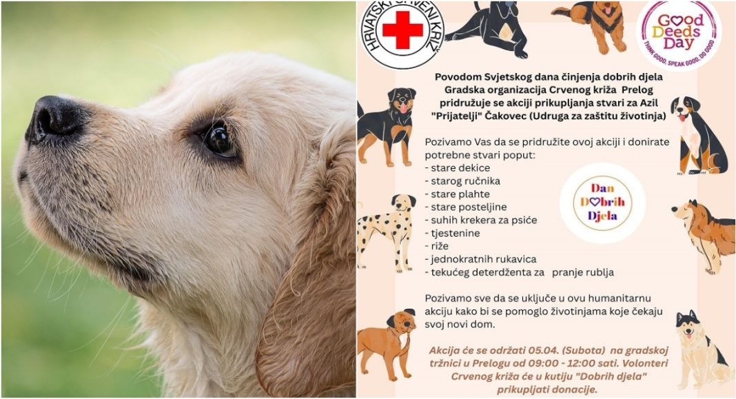 Na tržnici u Prelogu 5. travnja možete pomoći Azilu ‘Prijatelji’ Čakovec Na tržnici u Prelogu 5. travnja možete pomoći Azilu ‘Prijatelji’ Čakovec