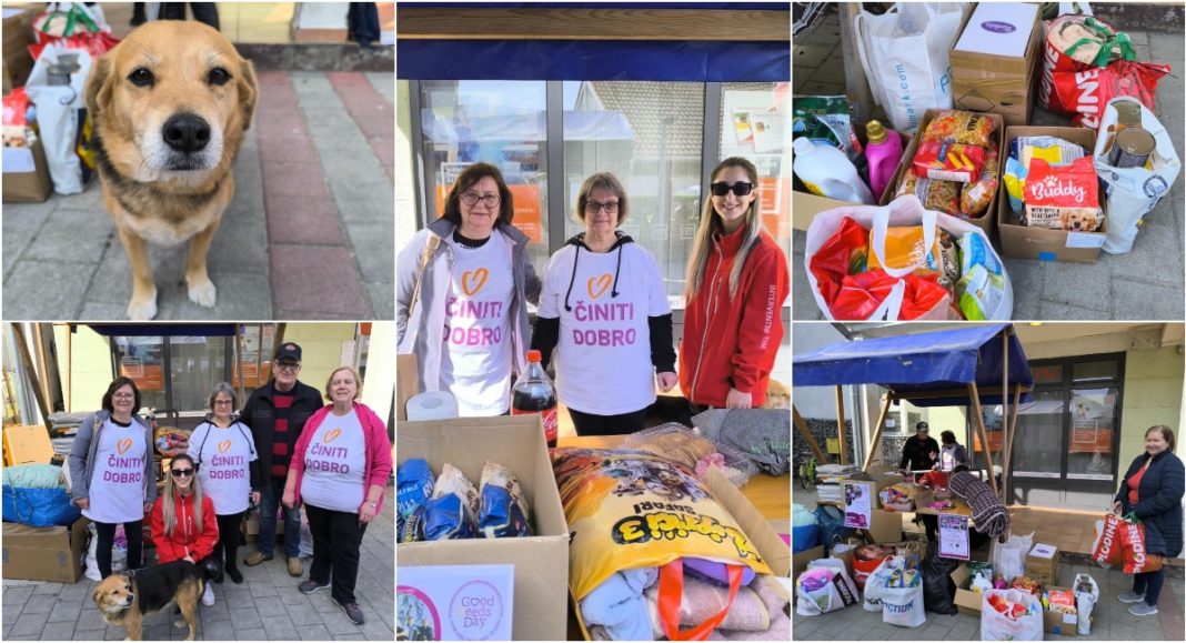 FOTO Dobrota na djelu: Preložani srcem za napuštene šapice u čakovečkom Azilu FOTO Dobrota na djelu: Preložani srcem za napuštene šapice u čakovečkom Azilu