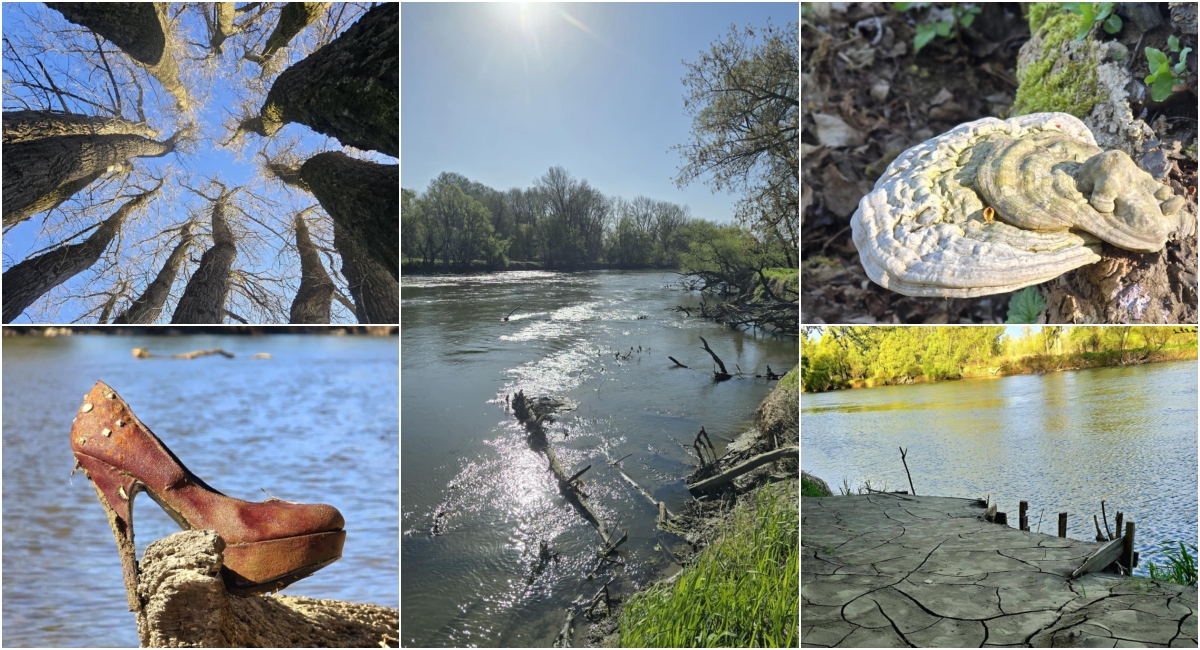 FOTO Donji tok rijeke Mure otkriva svoju divlju ljepotu i prirodno ...