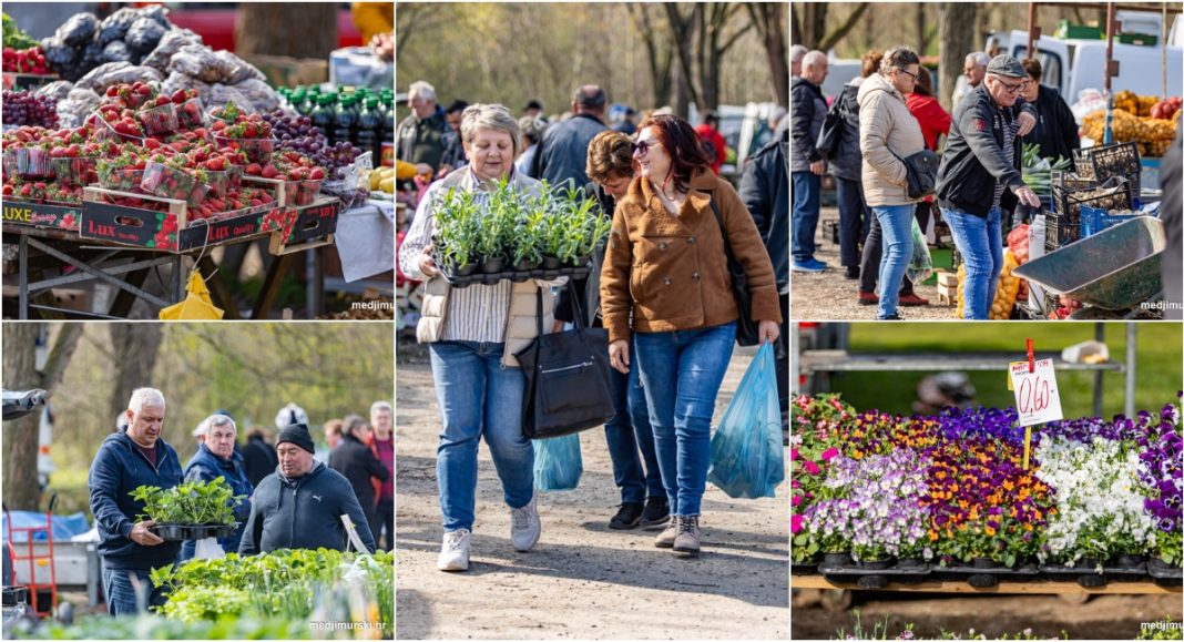 FOTO Na sajmu svega novoga, samo su cijene (da ‘prostite) stare! Visoke! FOTO Na sajmu svega novoga, samo su cijene (da ‘prostite) stare! Visoke!