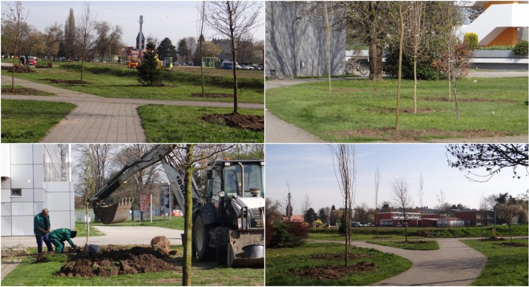 FOTO Više zelenila za učenike: Uređuje se okoliš Graditeljske i Tehničke škole Čakovec FOTO Više zelenila za učenike: Uređuje se okoliš Graditeljske i Tehničke škole Čakovec