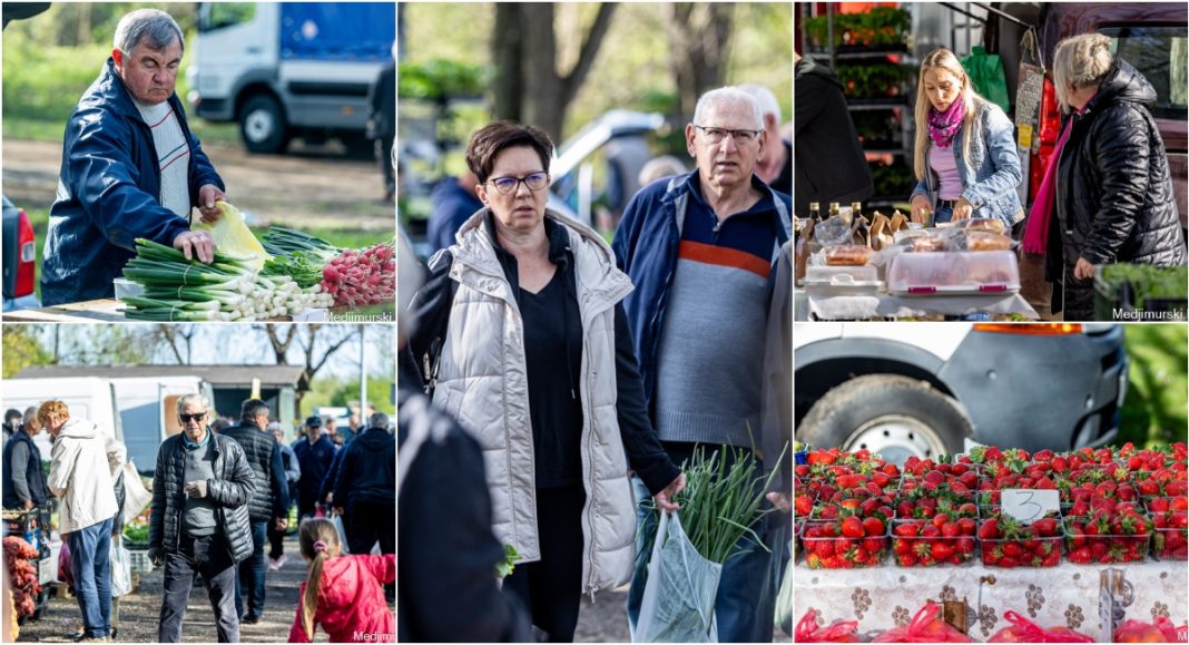 FOTO Vezica mladog luka, rotkvice i blitve po 1 euro kg, kristalka i puterica 2 eura kg, krumpir 50 centi kg… FOTO Vezica mladog luka, rotkvice i blitve po 1 euro kg, kristalka i puterica 2 eura kg, krumpir 50 centi kg…