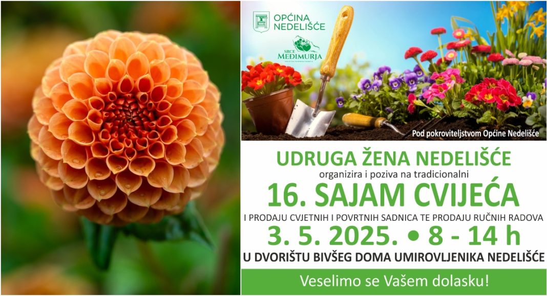 Sajam cvijeća u Nedelišću: Očekuje vas bogata ponuda i lokalne rukotvorine Sajam cvijeća u Nedelišću: Očekuje vas bogata ponuda i lokalne rukotvorine