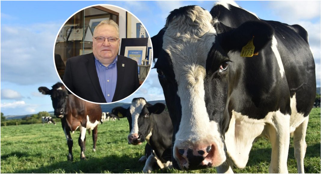 Grad Prelog pokreće subvencije za stočare i nove mjere potpora Grad Prelog pokreće subvencije za stočare i nove mjere potpora