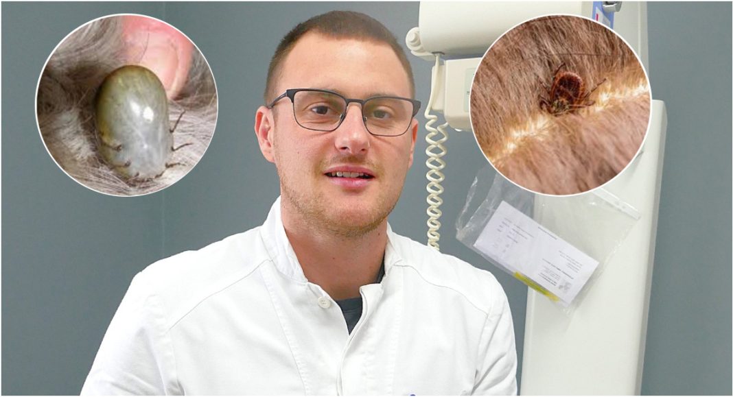 Mačke se brže oporave. Kod pasa je zakašnjelo liječenje dugotrajno, oporavak neizvjestan, a može nastupiti i smrt! Mačke se brže oporave. Kod pasa je zakašnjelo liječenje dugotrajno, oporavak neizvjestan, a može nastupiti i smrt!