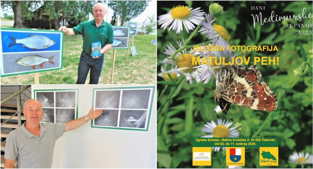Majzek opet priprema iznenađenje: svojim radovima i znanjem on naprosto nikad nije dosadan! Majzek opet priprema iznenađenje: svojim radovima i znanjem on naprosto nikad nije dosadan!