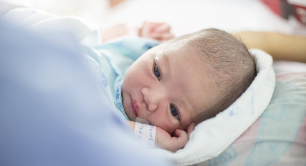 Kćeri dobile obitelji Žganec, Lepen, Gašparić, Marciuš i Jančijev, a sinove Balog, Amić, Krčan, Semenič, Oršuš, Balog, Car i Marciuš Kćeri dobile obitelji Žganec, Lepen, Gašparić, Marciuš i Jančijev, a sinove Balog, Amić, Krčan, Semenič, Oršuš, Balog, Car i Marciuš