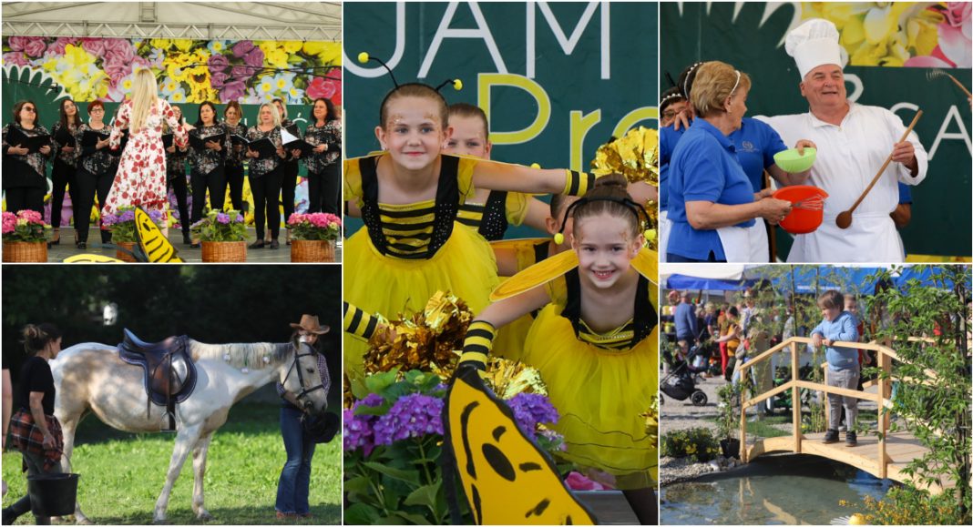 VIDEO/FOTO Cvjetna čarolija u Prelogu: Poniji, pjesma, ples i smijeh ispunili gradski centar! VIDEO/FOTO Cvjetna čarolija u Prelogu: Poniji, pjesma, ples i smijeh ispunili gradski centar!