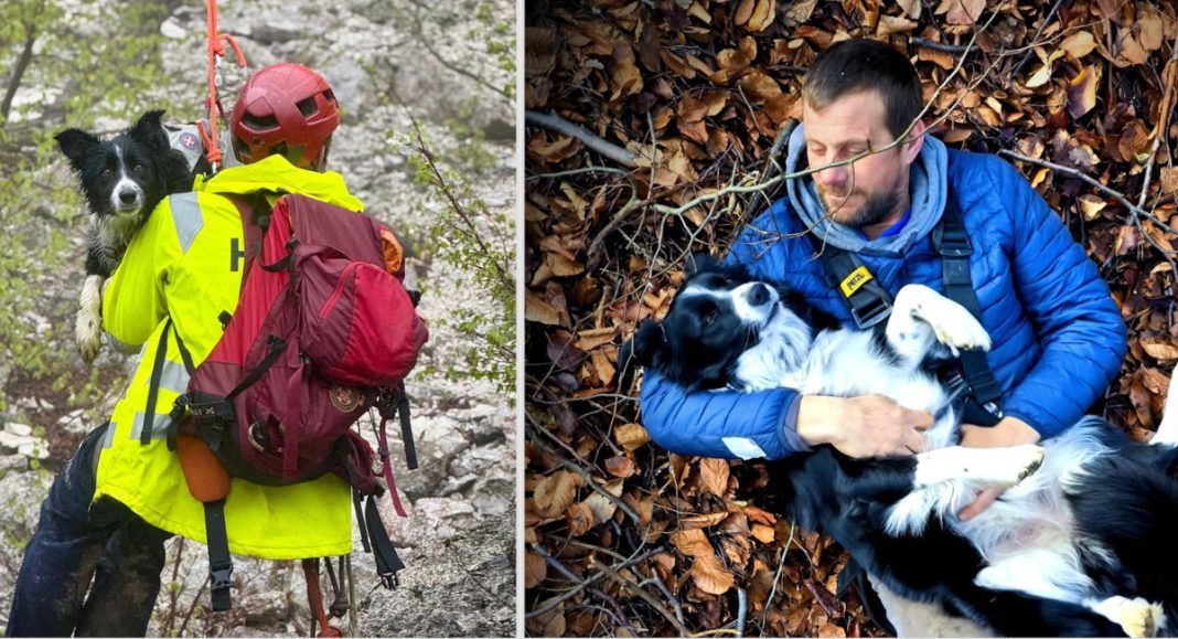 HGSS Stanica Čakovec ima novi K9 tim: Nenad Balić i Maza spremni za akciju! HGSS Stanica Čakovec ima novi K9 tim: Nenad Balić i Maza spremni za akciju!