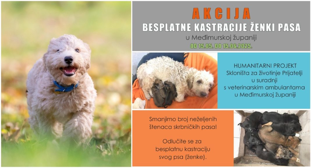 Pokrenuta akcija besplatnih kastracija vlasničkih ženki pasa u Međimurju od 15. svibnja do 15. lipnja! Pokrenuta akcija besplatnih kastracija vlasničkih ženki pasa u Međimurju od 15. svibnja do 15. lipnja!