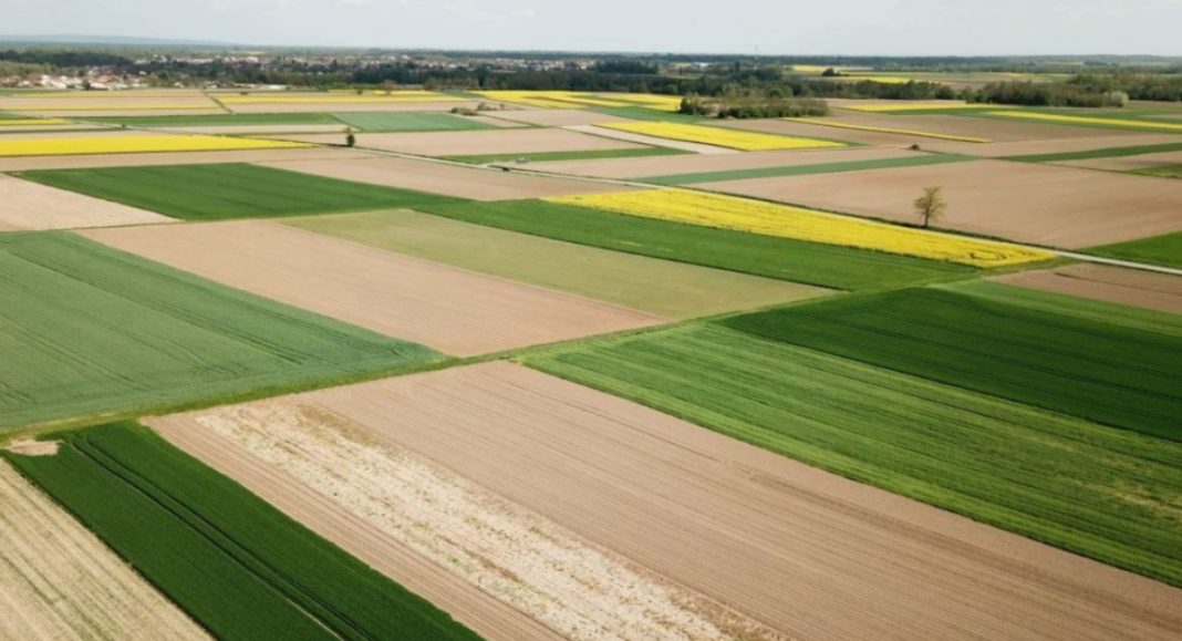 Prijavite se na Program potpora u poljoprivredi Međimurske županije 2025.–2030! Prijavite se na Program potpora u poljoprivredi Međimurske županije 2025.–2030!