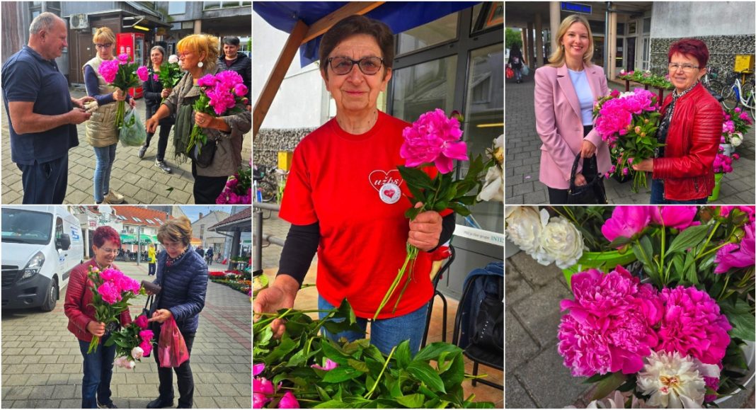 FOTO Katruže za Katružu u Prelogu – cvijeće koje liječi srcem FOTO Katruže za Katružu u Prelogu – cvijeće koje liječi srcem
