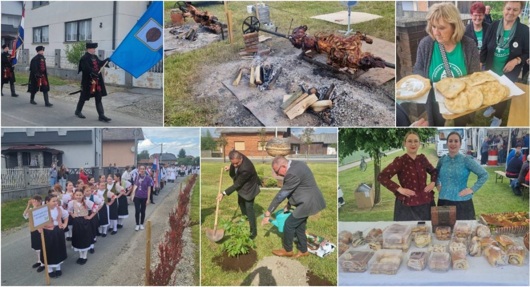 FOTO/VIDEO Orehovica u znaku Festivala oreha i sega kaj kcoj ide FOTO/VIDEO Orehovica u znaku Festivala oreha i sega kaj kcoj ide
