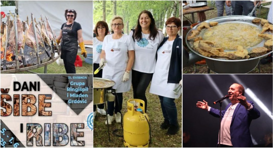 Dani šibe i ribe u Kotoribi donose bogat program i jedinstvene običaje Dani šibe i ribe u Kotoribi donose bogat program i jedinstvene običaje