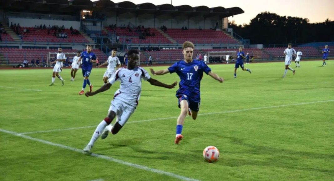 Farkaš igrao u pobjedi Hrvatske Farkaš igrao u pobjedi Hrvatske