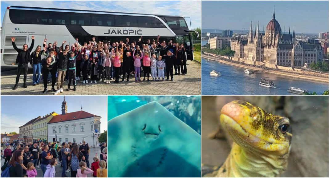 FOTO DVD Donji Mihaljevec: uspješni mali vatrogasci s roditeljima na izletu u Budimpešti! FOTO DVD Donji Mihaljevec: uspješni mali vatrogasci s roditeljima na izletu u Budimpešti!