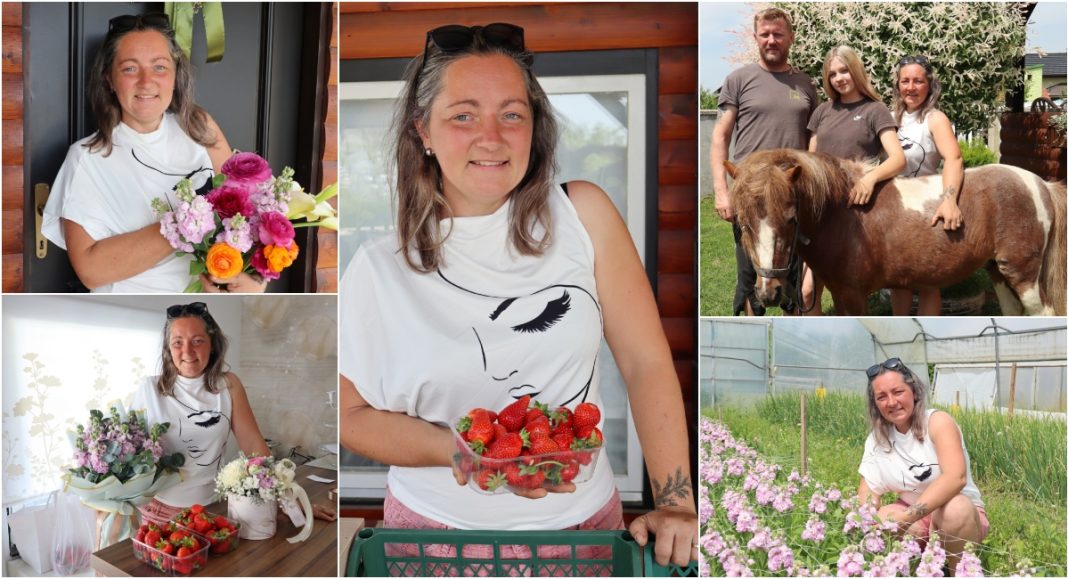 FOTO Samita Međimurec Ribič iz Donje Dubrave: Uzgojem cvijeća i jagoda do uspjeha na svom OPG-u FOTO Samita Međimurec Ribič iz Donje Dubrave: Uzgojem cvijeća i jagoda do uspjeha na svom OPG-u