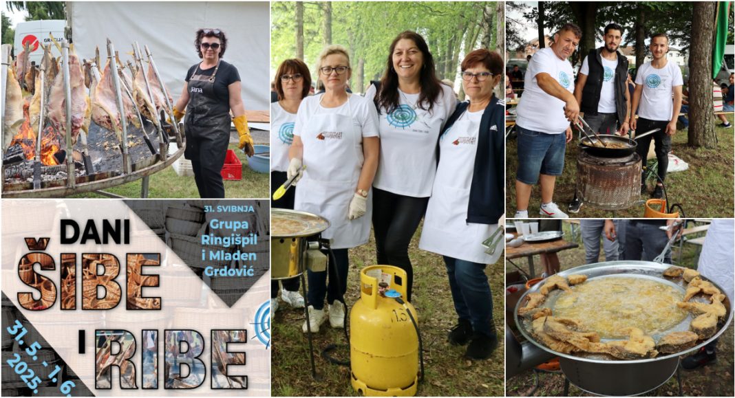 ‘Dani šibe i ribe’ u Kotoribi 31.5. i 1.6. uz koncert Ringišpila i Mladena Grdovića! ‘Dani šibe i ribe’ u Kotoribi 31.5. i 1.6. uz koncert Ringišpila i Mladena Grdovića!
