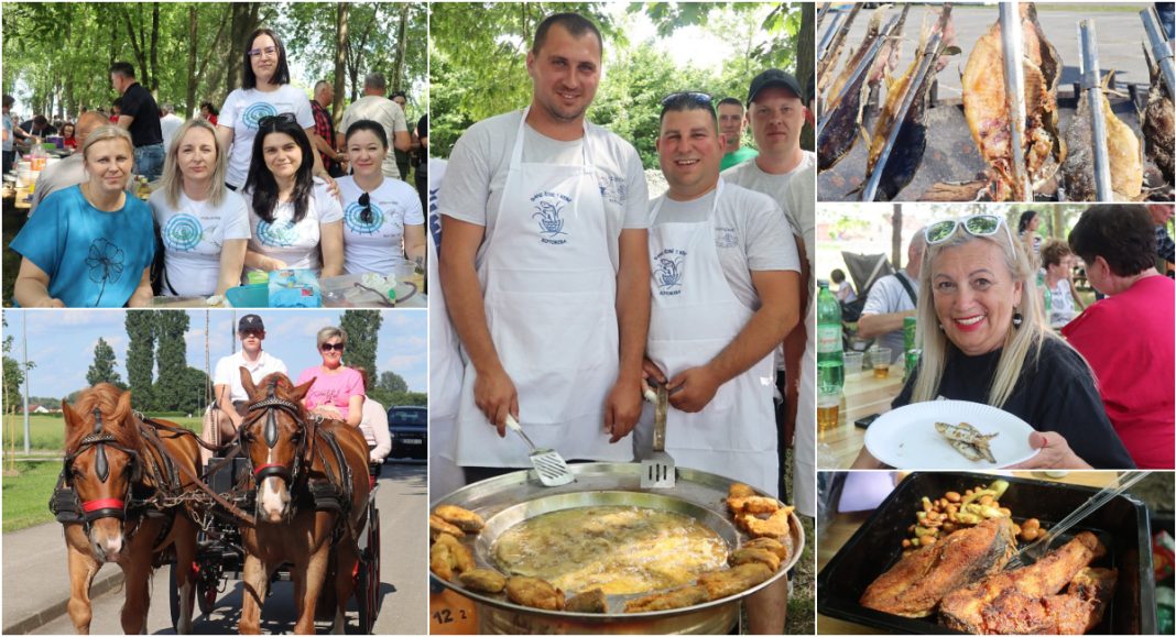 FOTO/VIDEO ‘Dani šibe i ribe’ u Kotoribi: riblji specijaliteti, gemišti, kolači i prekrasni konji! FOTO/VIDEO ‘Dani šibe i ribe’ u Kotoribi: riblji specijaliteti, gemišti, kolači i prekrasni konji!