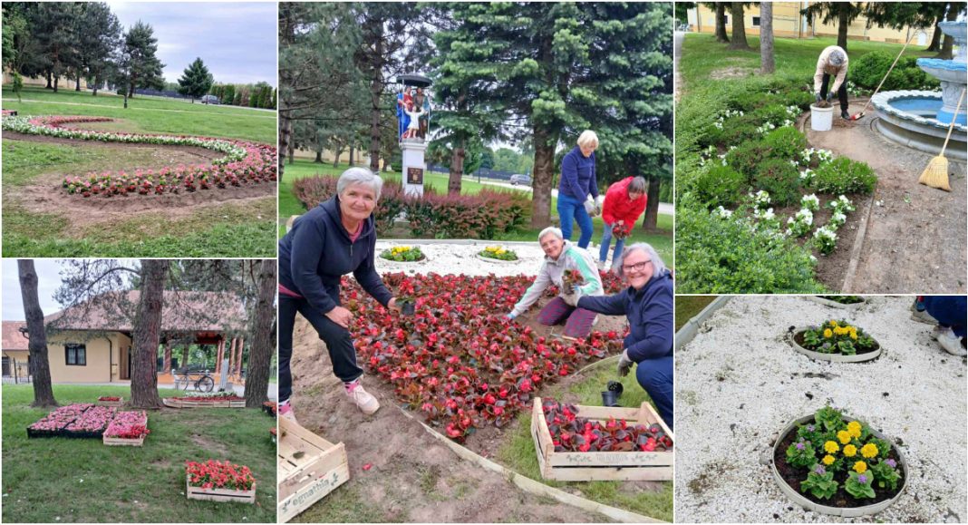 FOTO Marljive ruke i 3000 sadnica cvijeća: U Goričanu počela sadnja cvijeća FOTO Marljive ruke i 3000 sadnica cvijeća: U Goričanu počela sadnja cvijeća