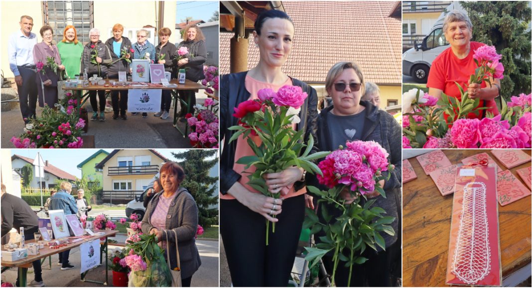 FOTO U Svetoj Mariji počela akcija ‘Katruže za Katružu’, nastavlja se u subotu! FOTO U Svetoj Mariji počela akcija ‘Katruže za Katružu’, nastavlja se u subotu!