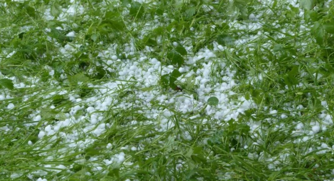 Župan Matija Posavec proglasio prirodnu nepogodu u Općini Domašinec Župan Matija Posavec proglasio prirodnu nepogodu u Općini Domašinec