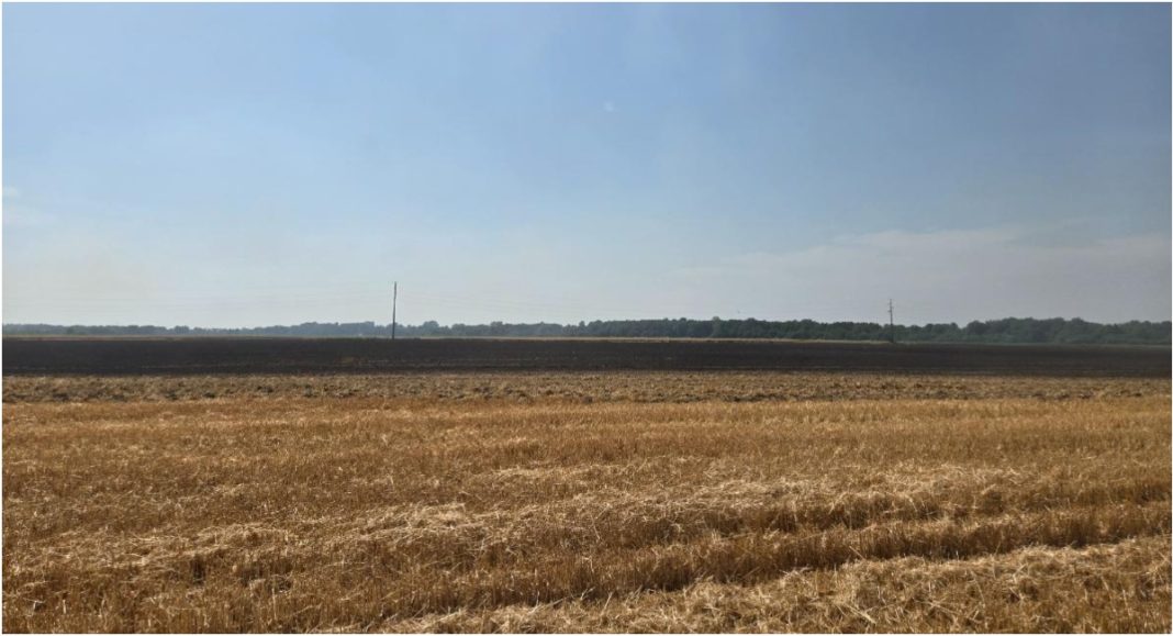 FOTO/VIDEO Vatrena stihija progutala devet hektara pšenice kod Domašinca FOTO/VIDEO Vatrena stihija progutala devet hektara pšenice kod Domašinca