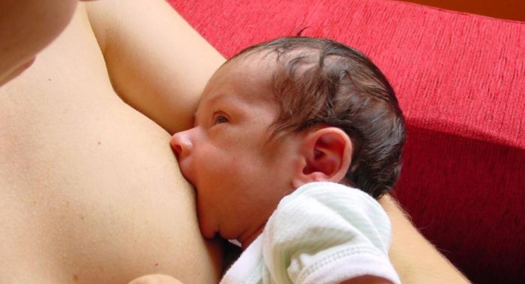 Kćeri je dobilo 6 obitelji: Vlahek, Mesarek, Pongrac, Orehovec, Zadravec i Dokleja, a sinove 11! Pogledajte koje! Kćeri je dobilo 6 obitelji: Vlahek, Mesarek, Pongrac, Orehovec, Zadravec i Dokleja, a sinove 11! Pogledajte koje!