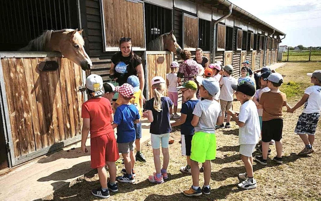 Sve o konjima i još koječemu ispričala im je vlasnica Iva Muminović! Sve o konjima i još koječemu ispričala im je vlasnica Iva Muminović!