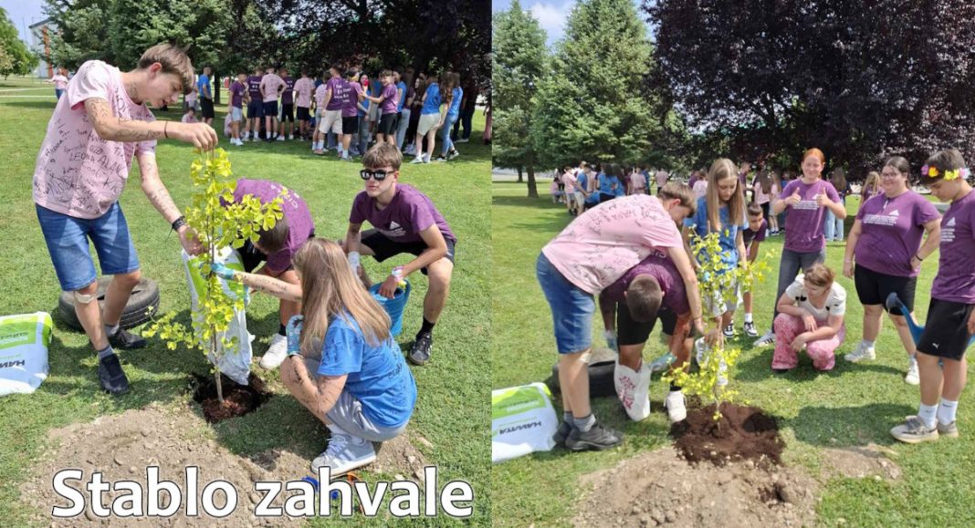 Stablo generacije: Osmaši iz Preloga zasadili ginko u znak zahvale i sjećanja Stablo generacije: Osmaši iz Preloga zasadili ginko u znak zahvale i sjećanja