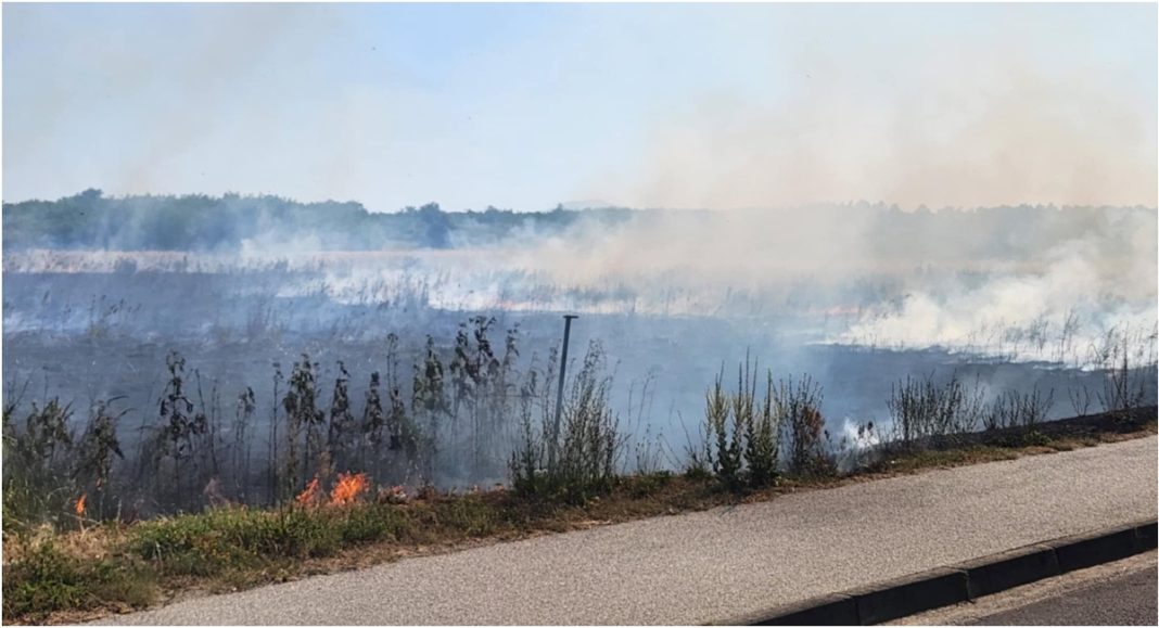 Požar u Industrijskoj zoni u Pribislavcu, vatrogasci na terenu Požar u Industrijskoj zoni u Pribislavcu, vatrogasci na terenu