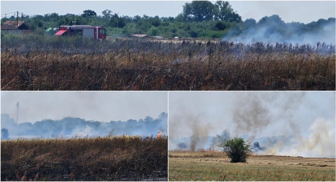VIDEO/FOTO Ponovno buknuo požar kod romskog naselja u Pribislavcu VIDEO/FOTO Ponovno buknuo požar kod romskog naselja u Pribislavcu