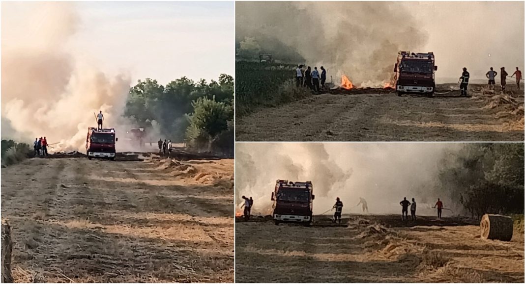 FOTO Požar između Palovca i Palinovca – brzom reakcijom vatrogasaca spriječena veća šteta FOTO Požar između Palovca i Palinovca – brzom reakcijom vatrogasaca spriječena veća šteta