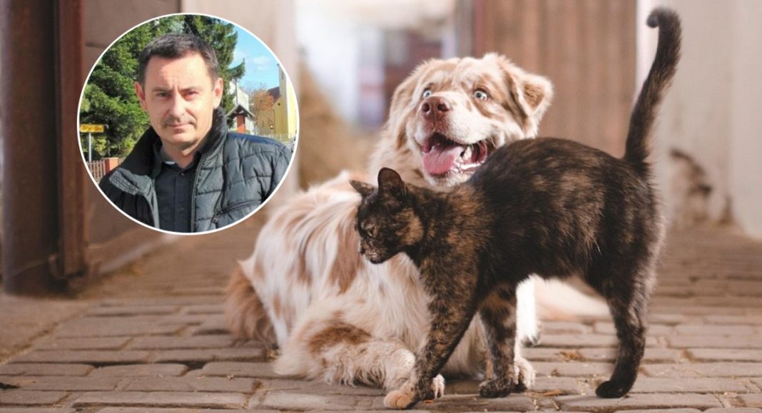 Gornji Mihaljevec pokriva troškove mikročipiranja pasa i sufinancira sterilizaciju kućnih ljubimaca Gornji Mihaljevec pokriva troškove mikročipiranja pasa i sufinancira sterilizaciju kućnih ljubimaca