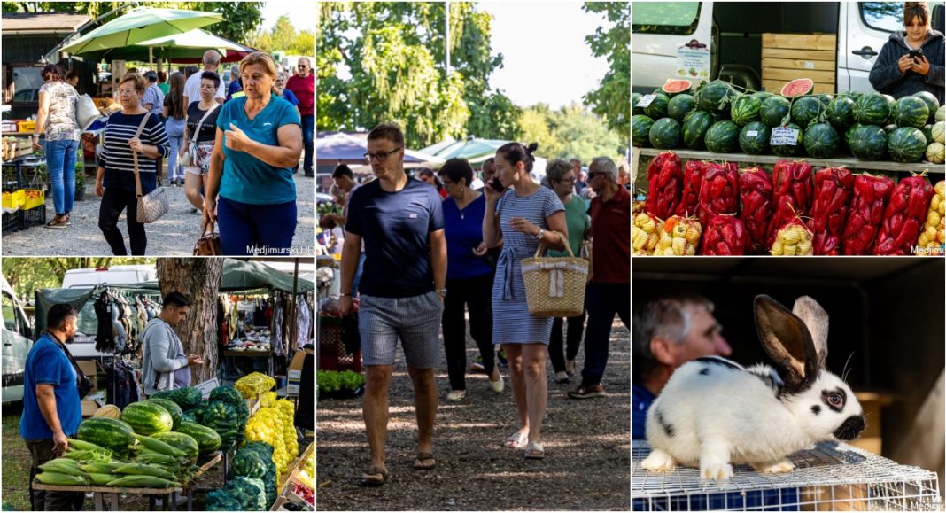 FOTO Ovogodišnje jabuke po 1,5 euro, žute mahune po 7 eura, grah u ljusci 5 eura, krastavci od 1 do 5 eura… FOTO Ovogodišnje jabuke po 1,5 euro, žute mahune po 7 eura, grah u ljusci 5 eura, krastavci od 1 do 5 eura…