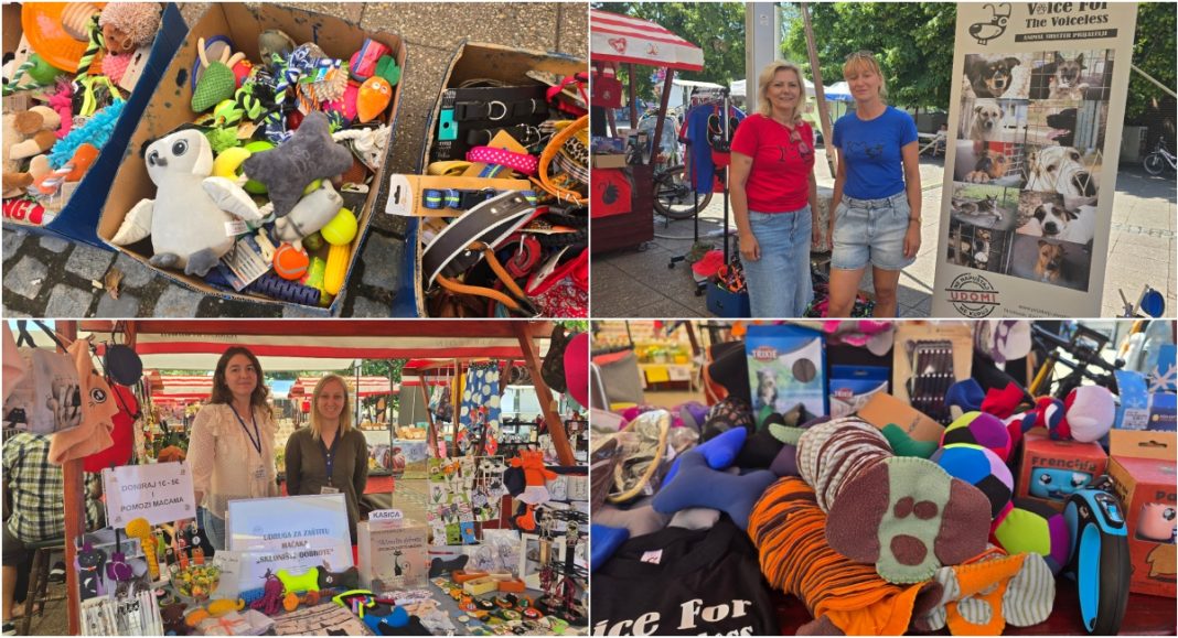 FOTO Ljubav na štandu: Pomozite psima i mačkama na Porcijunkulovu! FOTO Ljubav na štandu: Pomozite psima i mačkama na Porcijunkulovu!