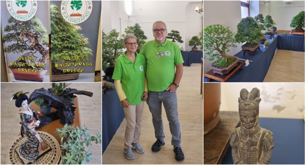 FOTO/VIDEO Vještinu uređivanja bonsai drvca upoznajte u zgradi Scheier FOTO/VIDEO Vještinu uređivanja bonsai drvca upoznajte u zgradi Scheier