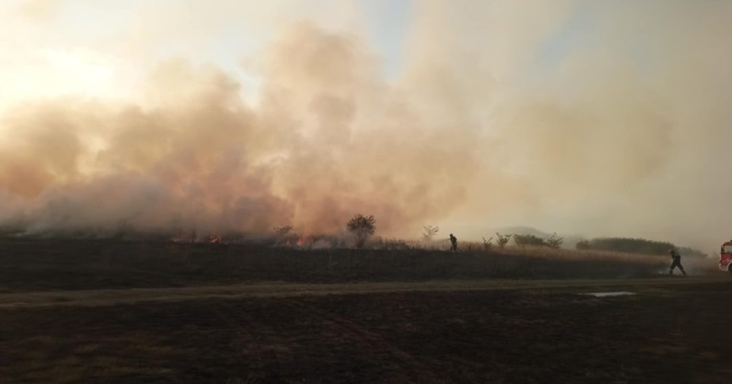 Opet gorjelo u Pribislavcu: Dim prekrio naselje, vatrogasci na rubu snaga! Opet gorjelo u Pribislavcu: Dim prekrio naselje, vatrogasci na rubu snaga!