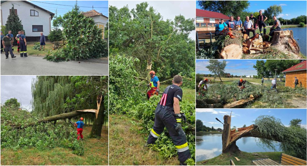 FOTO Vatrogasci otklanjaju drveće uništeno u nevremenu u Goričanu, od Šuderice na dalje! FOTO Vatrogasci otklanjaju drveće uništeno u nevremenu u Goričanu, od Šuderice na dalje!