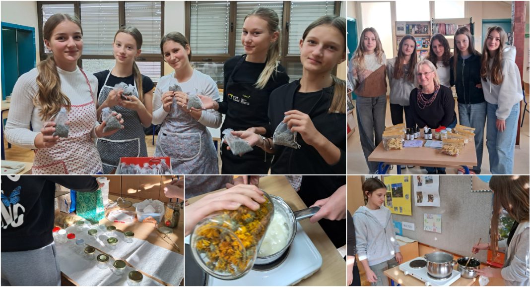 Uskoro i vrt u školi: Vjeroučiteljica Anica Trstenjak i djeca u OŠ Sveta Marija uče o ljekovitom bilju Uskoro i vrt u školi: Vjeroučiteljica Anica Trstenjak i djeca u OŠ Sveta Marija uče o ljekovitom bilju