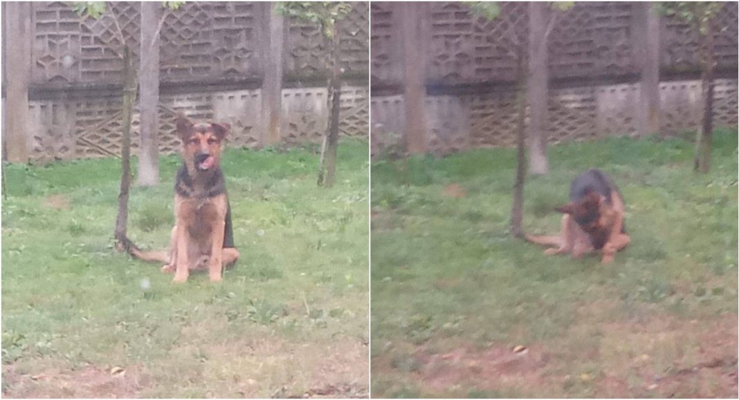 Zabrinuti mole za pomoć Zabrinuti mole za pomoć