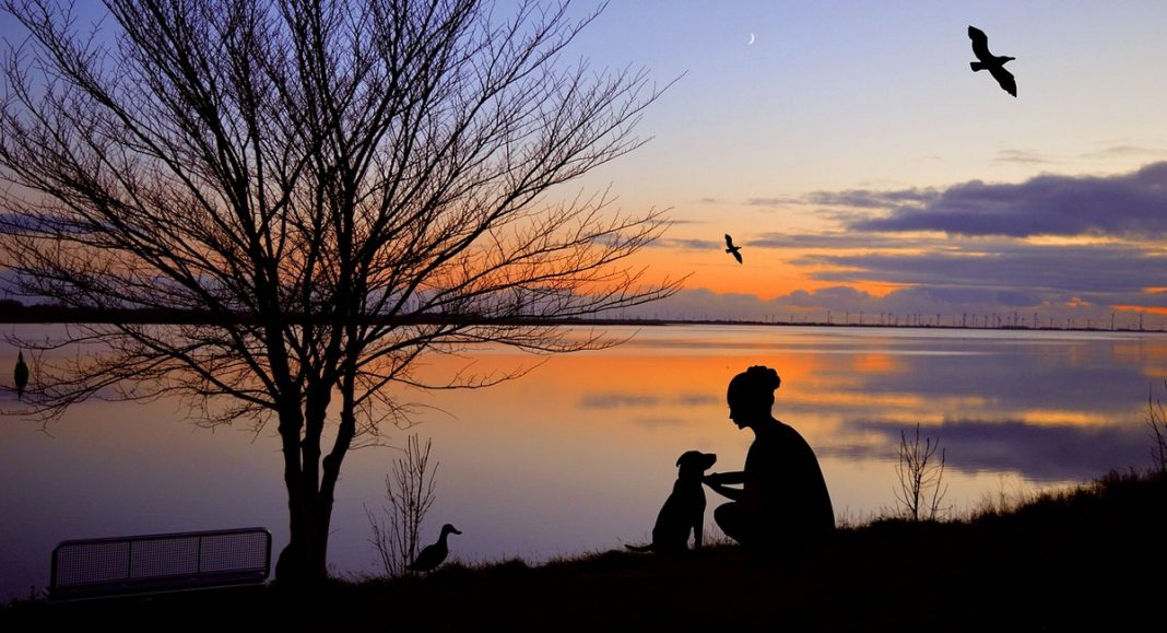Prestrašno! Nema više voljenog psića: Ubio ga je agresivan pas bez nadzora! Prestrašno! Nema više voljenog psića: Ubio ga je agresivan pas bez nadzora!