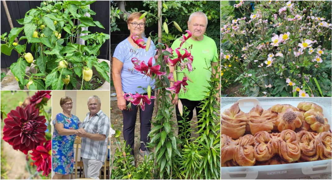 FOTO Radišni i skromni, a imaju sve: Bračni par Tkalec iz Domašinca u mirovini živi kao u bajci! FOTO Radišni i skromni, a imaju sve: Bračni par Tkalec iz Domašinca u mirovini živi kao u bajci!