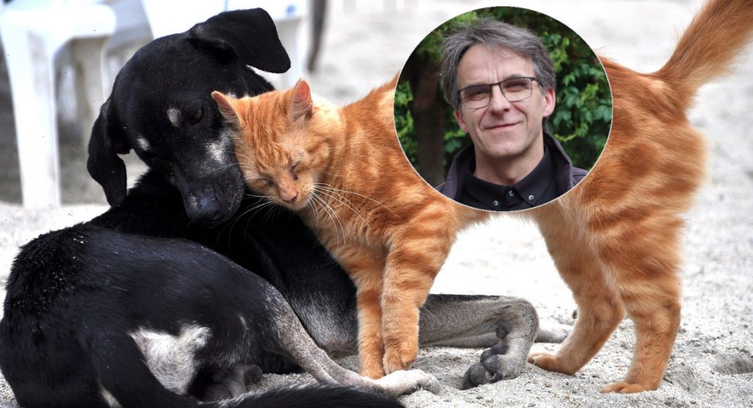 Općina Domašinec poziva mještane da ostvare sufinanciranje čipiranja i kastracije ljubimaca! Općina Domašinec poziva mještane da ostvare sufinanciranje čipiranja i kastracije ljubimaca!