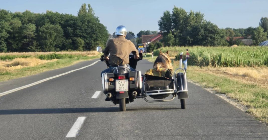 Ljubav na tri kotača: Neobičan dvojac koji je razveselio sve na cesti Ljubav na tri kotača: Neobičan dvojac koji je razveselio sve na cesti
