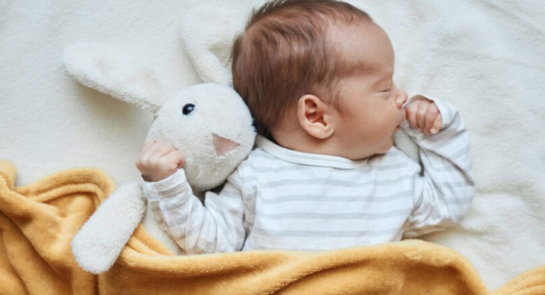 Malo ih je, al’ ih ima. Stigli Toni, Marin, Rea, Toma, Grozdan i Emili. Dobro došli! Malo ih je, al’ ih ima. Stigli Toni, Marin, Rea, Toma, Grozdan i Emili. Dobro došli!