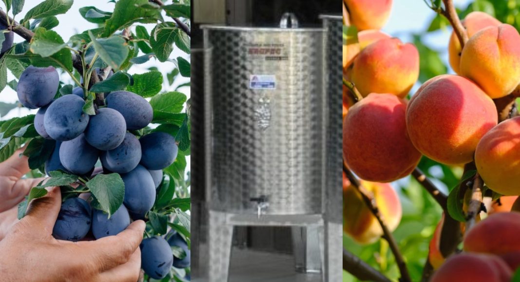 Hvala “prijateljima” što su mi iz podruma ukrali desetke litara vrhunske rakije! Hvala “prijateljima” što su mi iz podruma ukrali desetke litara vrhunske rakije!