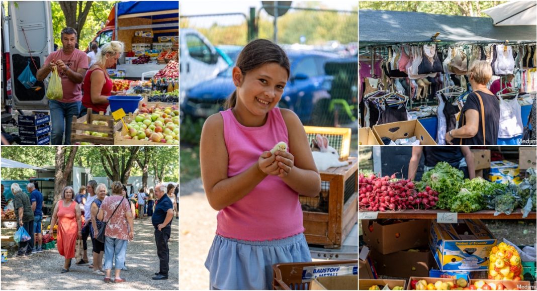 FOTO Svi su uživali: djeca kod jednodnevnih, a odrasli kod pečenih. Pilića! FOTO Svi su uživali: djeca kod jednodnevnih, a odrasli kod pečenih. Pilića!